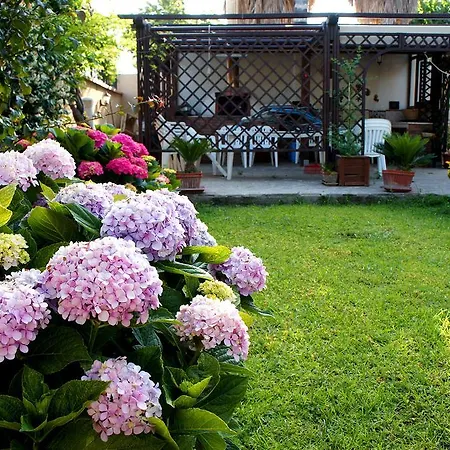 Hébergement de vacances Casa Vacanze Le Magnolie *